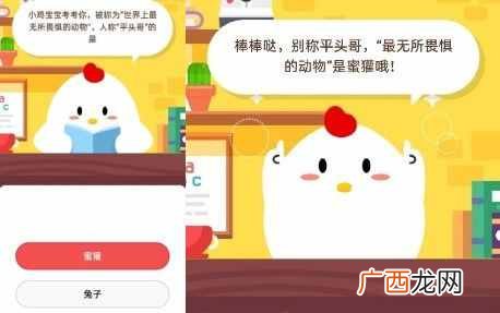 被称为“世界上最无所畏惧的动物”，人称“平头哥”的是？蚂蚁庄园
