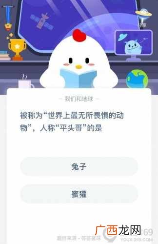 被称为世界上最无所畏惧的动物人称平头哥的是什么？蚂蚁庄园4月27日