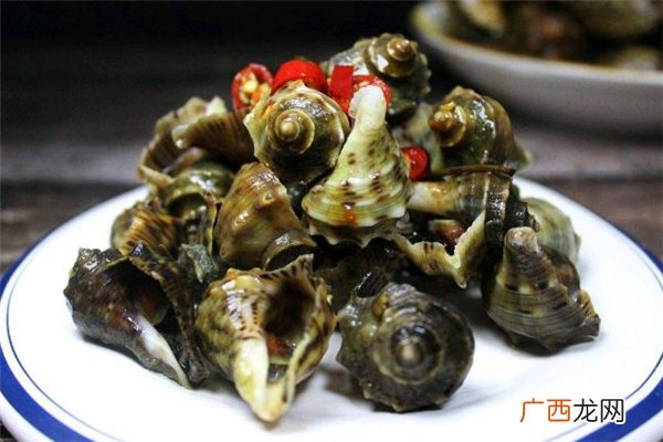 海螺的头部能吃吗_海螺没煮熟能吃吗