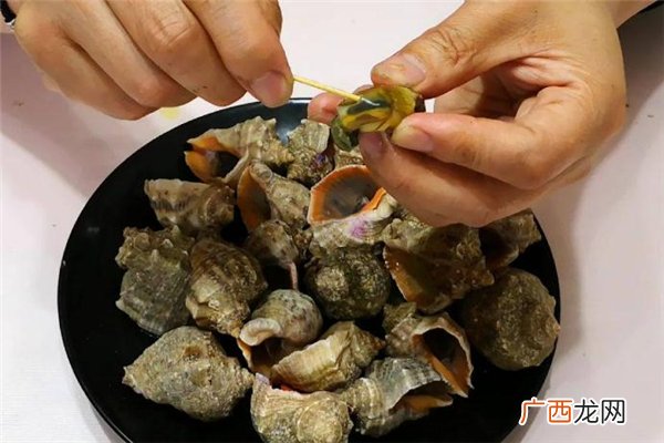 海螺内脏可以吃吗_海螺不能和什么一起吃