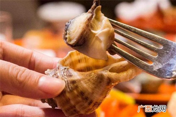 海螺内脏可以吃吗_海螺不能和什么一起吃