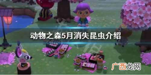 动物之森四月昆虫获取方法汇总 动物之森5月消失昆虫介绍