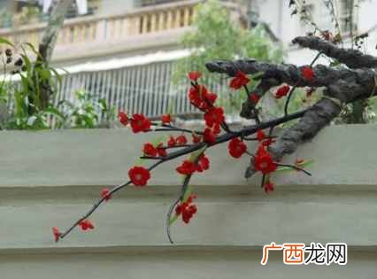 叶绍翁最著名的一首诗 叶绍翁描写儿童的诗句有哪些
