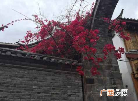 叶绍翁最著名的一首诗 叶绍翁描写儿童的诗句有哪些