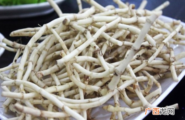 折耳根的功效与作用 折耳根的药用价值