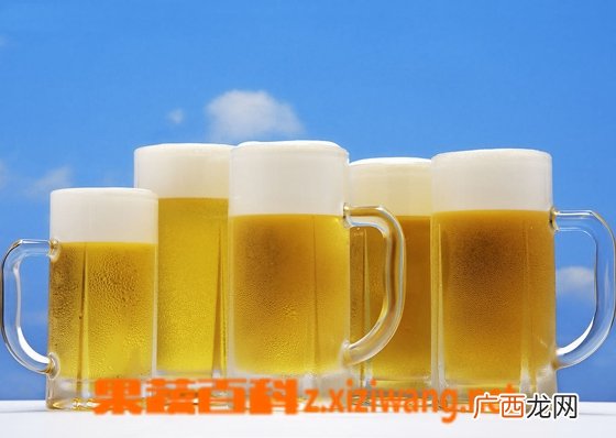 孕妇可以喝啤酒吗 孕妇喝啤酒的危害
