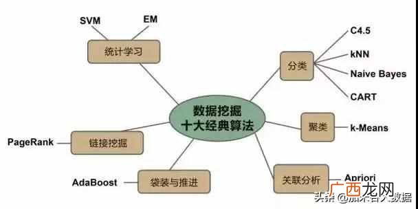什么是数据挖掘？数据挖掘的一般过程是怎样的？