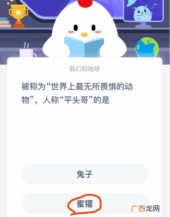 被称为世界上最无所畏惧的动物人称平头哥的是？2020蚂蚁庄园4月27日答