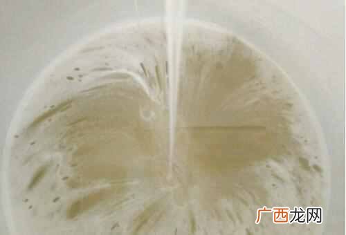 四大名蜜，槐花蜜的3功效与作用