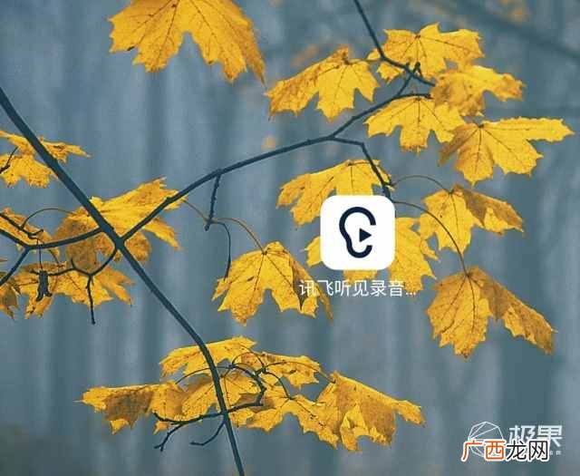 口碑最好的录音笔品牌评测 录音笔什么牌子好性价比高
