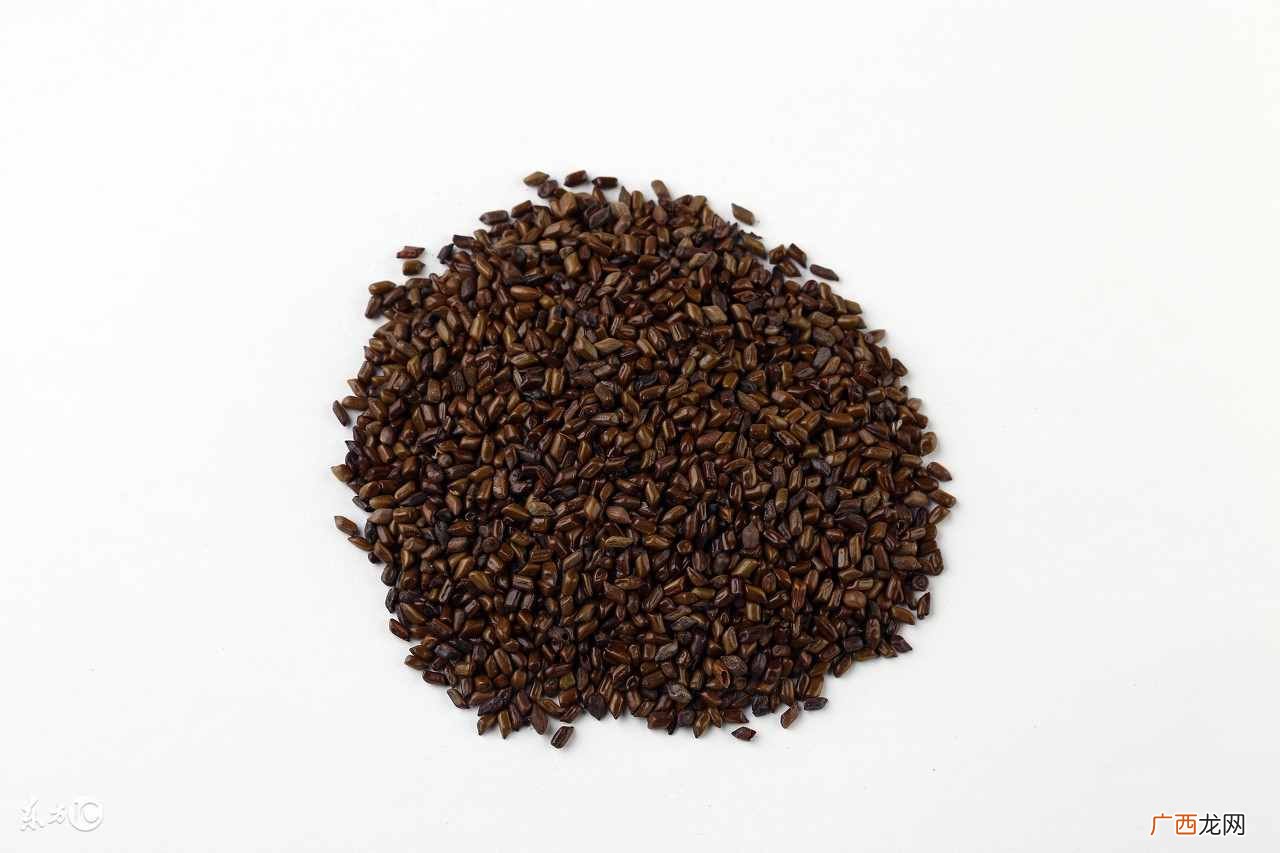 决明子茶最佳喝法及功效解析 决明子茶的功效与作用及禁忌
