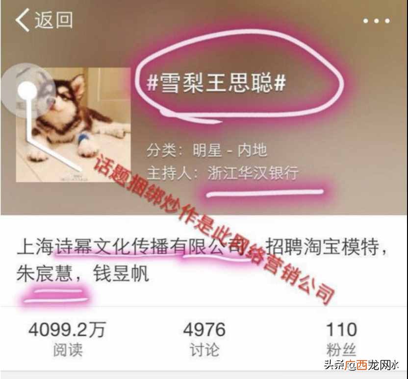 曝光雪梨创业各种内幕 雪梨的互联网创业故事