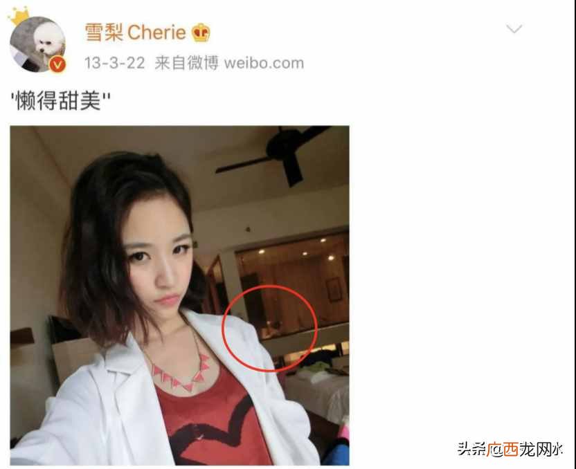 曝光雪梨创业各种内幕 雪梨的互联网创业故事