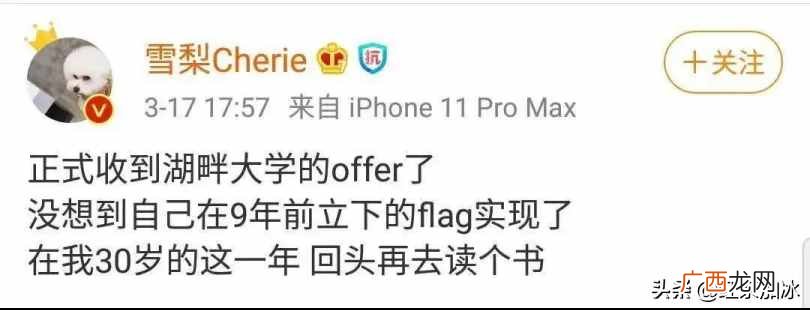 曝光雪梨创业各种内幕 雪梨的互联网创业故事