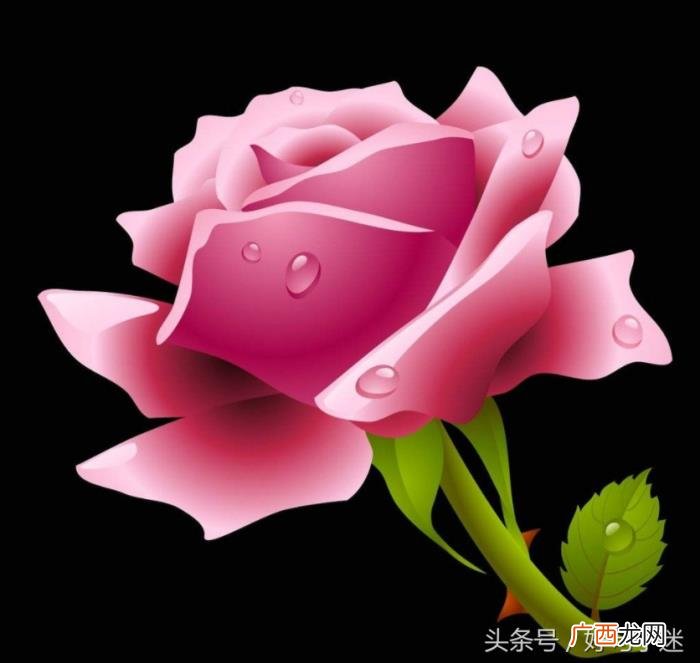 爱情导师涂磊经典语录 涂磊语录