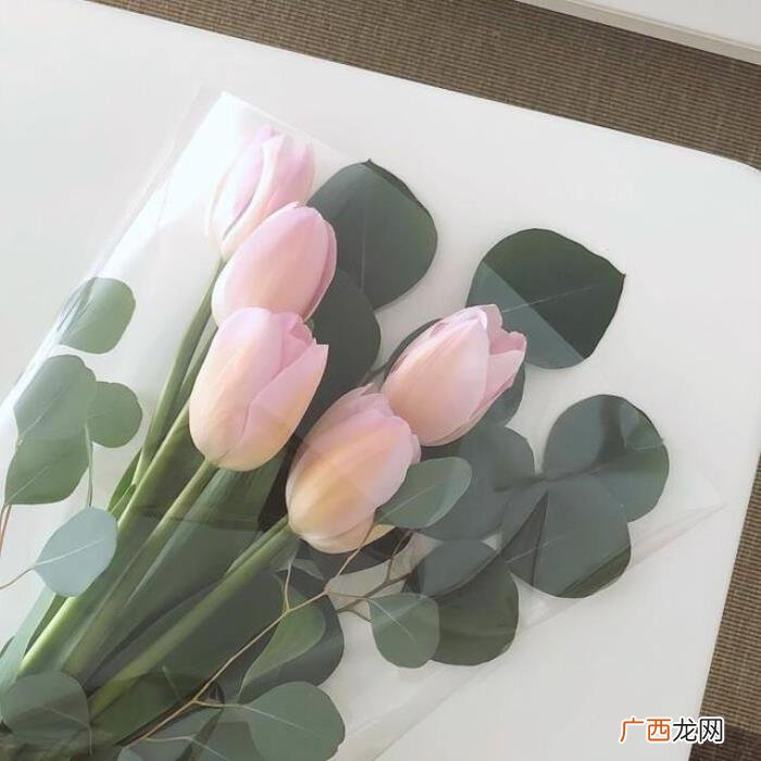真正懂你的人最温暖 真正懂你的人的句子