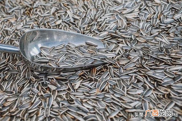 适合广场地摊的小生意 18种最赚钱的地摊生意