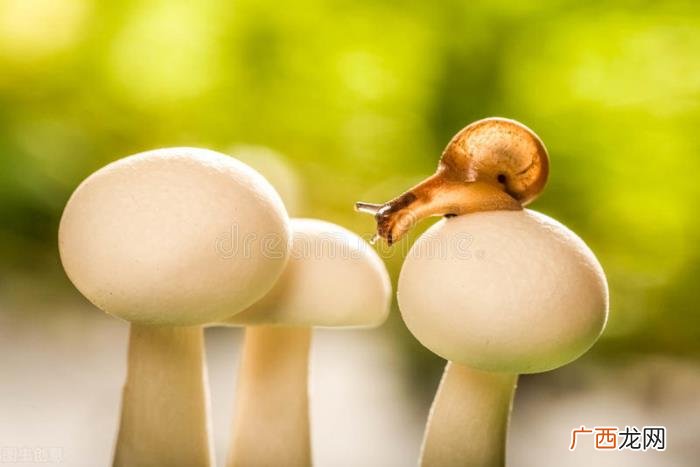 天蝎男越爱越不联系，天蝎座的爱有点委屈