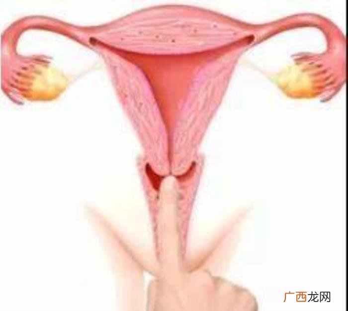 女性生理知识，女性私密也会发出声音