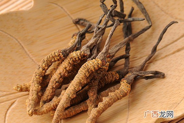 冬虫夏草主要功效及食用方法