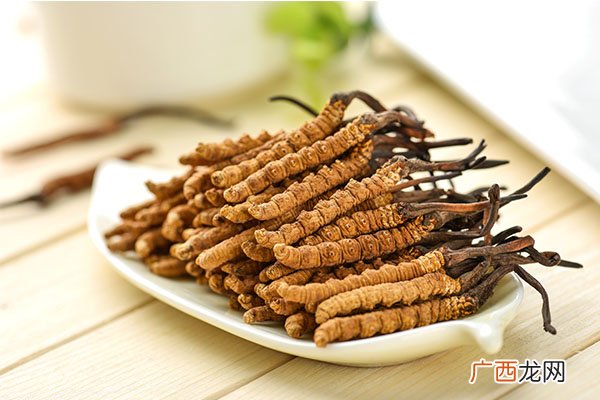 冬虫夏草主要功效及食用方法