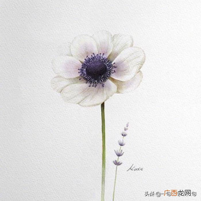 保持心情愉悦排解压力 工作太累的心情短语