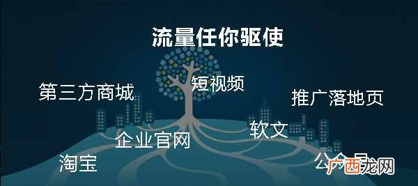 简介自动推广软件可行度 自动推广软件是真的吗
