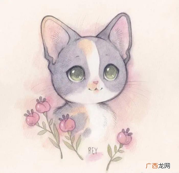 能让人特别开心的笑话 经典的小笑话