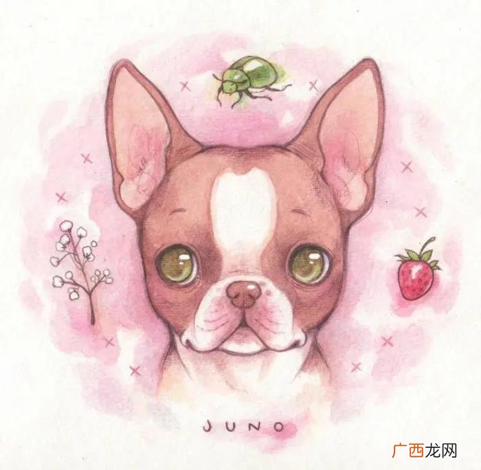 能让人特别开心的笑话 经典的小笑话