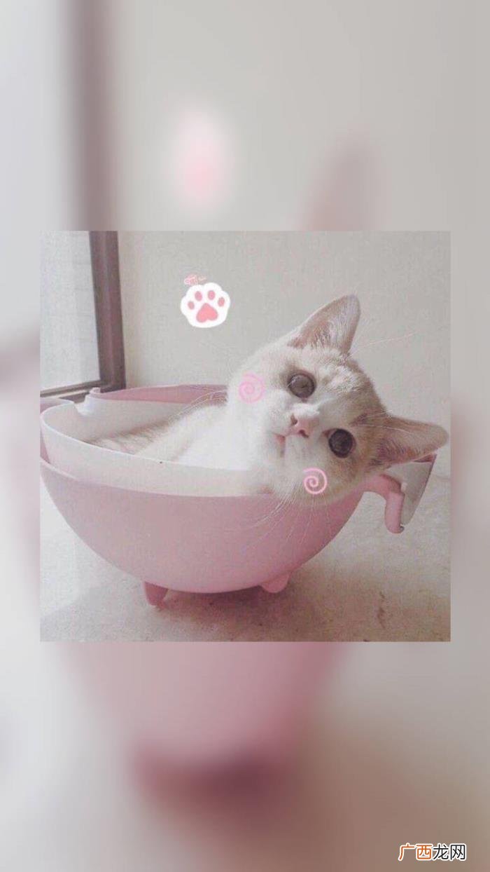如此调皮可爱的句子 心情美美哒句子微信