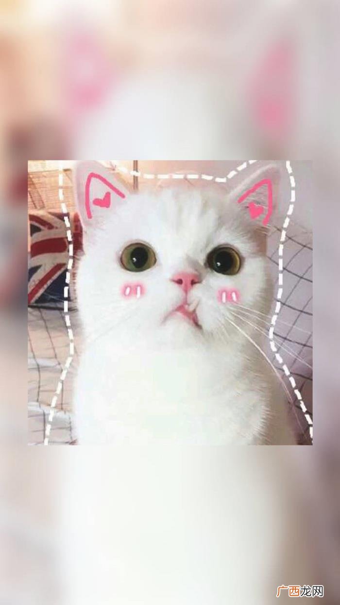 如此调皮可爱的句子 心情美美哒句子微信