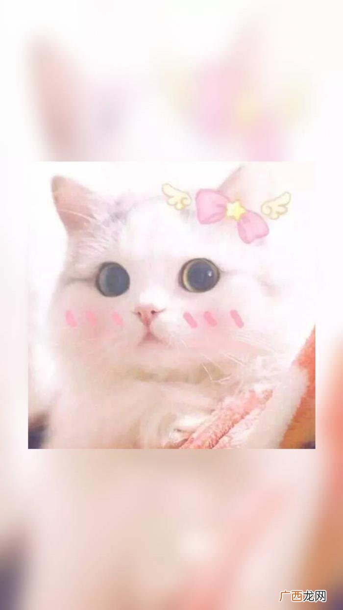 如此调皮可爱的句子 心情美美哒句子微信