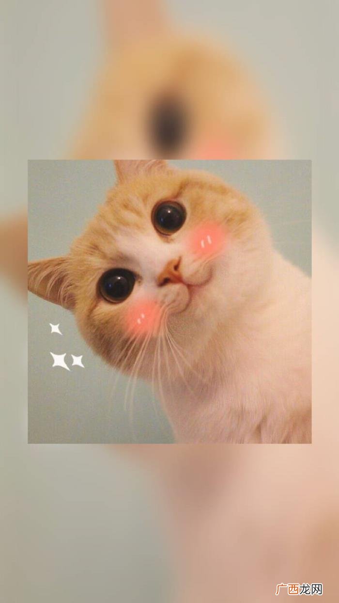 如此调皮可爱的句子 心情美美哒句子微信