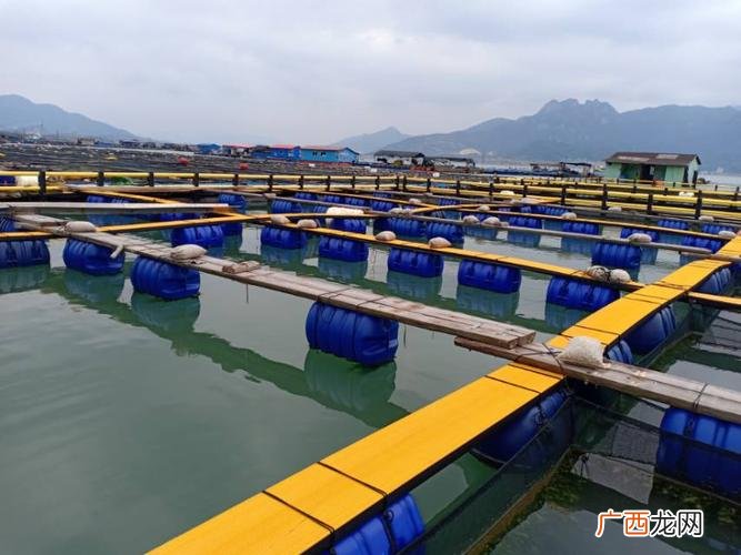 水库养殖网箱 宁德网箱养殖