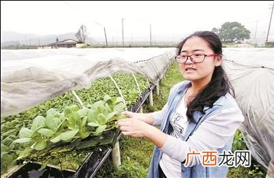 水库养殖网箱 宁德网箱养殖