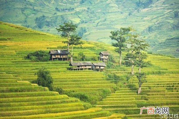 夫妻感情破裂能挽回吗如何处理好夫妻感情
