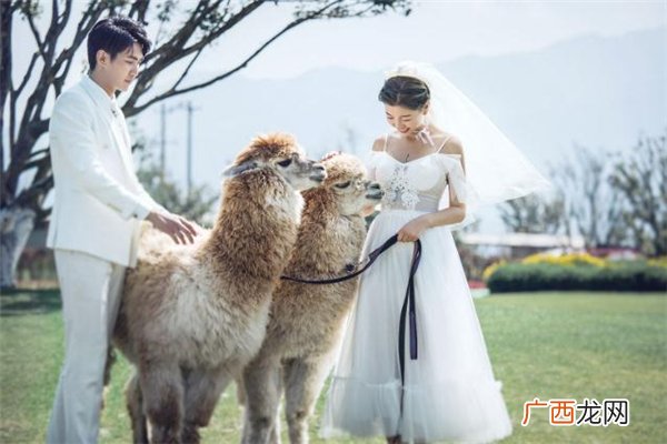 老公出轨拒绝沟通该怎么办老公和小三断了能原谅吗