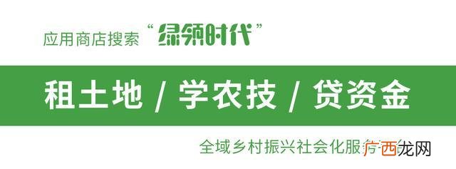 农村信用社贷款条件 农村信用社银行小额贷款需要什么条件具备