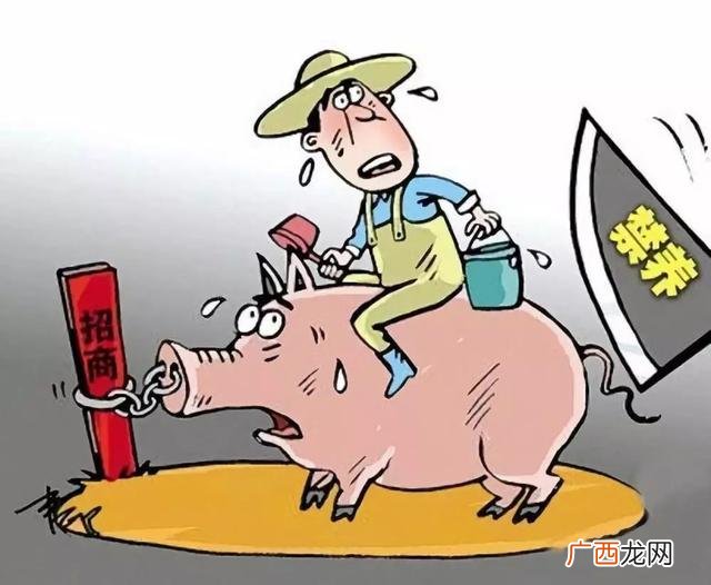 马云说未来养殖业 农村搞养殖养什么最好