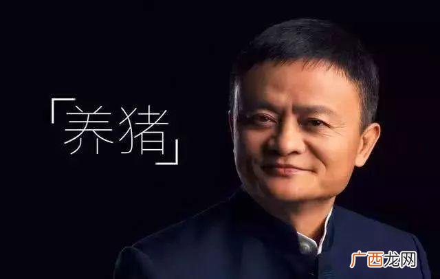 马云说未来养殖业 农村搞养殖养什么最好