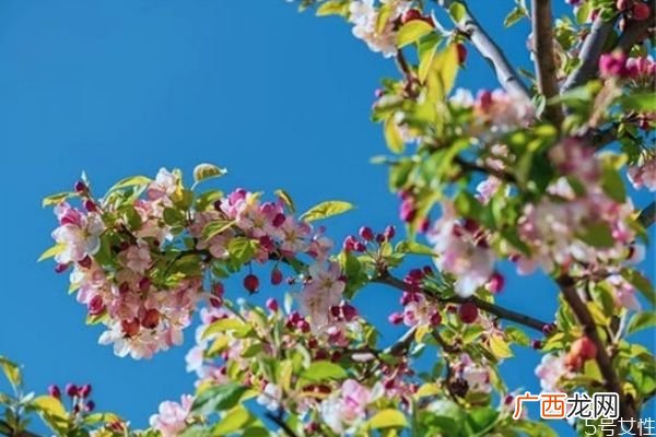 精神出轨可以被原谅吗精神和肉体出轨哪个不能原谅