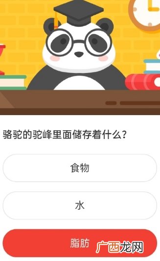 森林驿站骆驼的驼峰里面储存着什么