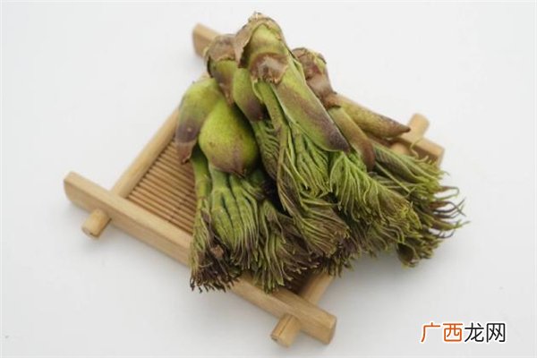 刺老芽产自哪里 刺老芽怎么吃