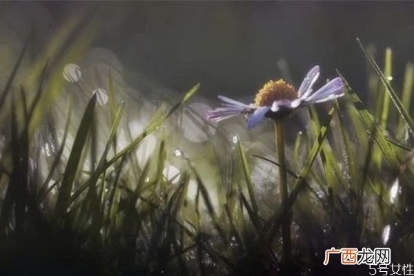 军婚两地分居的婚姻能维持多久两地分居老公出轨怎么办