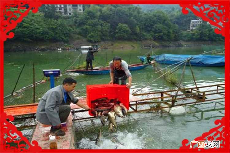 最适合的3个创业项目 现在在农村做什么养殖比较好