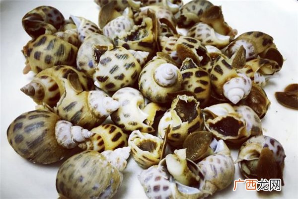 花螺放了两天还能吃吗 花螺死了还能吃吗