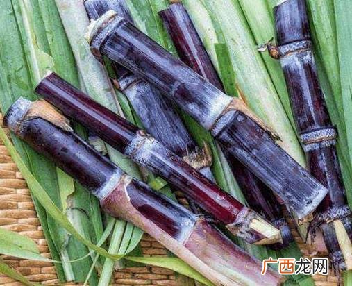 孕妇最好别吃的吃十大水果排名