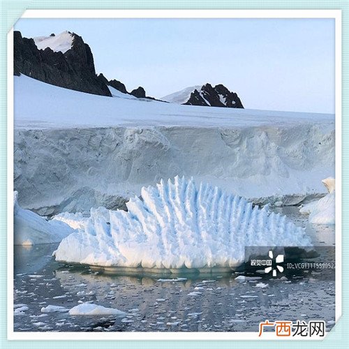 les找对象都在哪里找的 为什么很多les的地区是冰岛