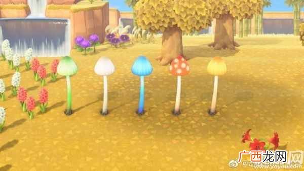 动物之森蘑菇季家具图纸怎么获得 动森蘑菇图纸配方大全