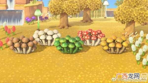 动物之森蘑菇季家具图纸怎么获得 动森蘑菇图纸配方大全